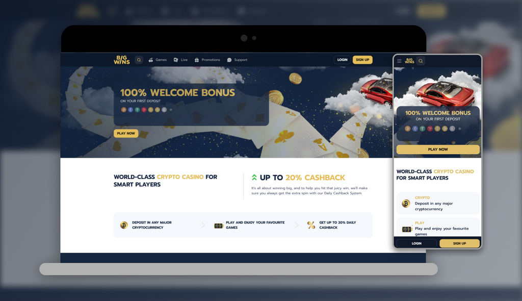 Online Casino Site Bonuses - VIP Program for High Rollers